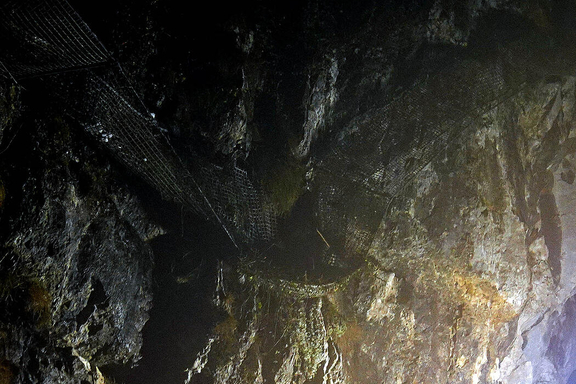 Einsatz 86 - Bild Array